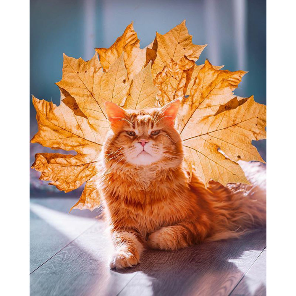 

Orange Cat - Round Drill Diamond Painting - 30*40CM, 501 Original
