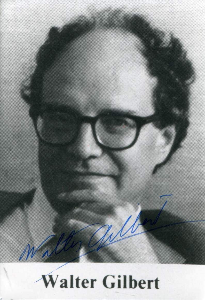 Walter Gilbert NOBEL PRIZE autograph, In-Person signed Photo Poster painting