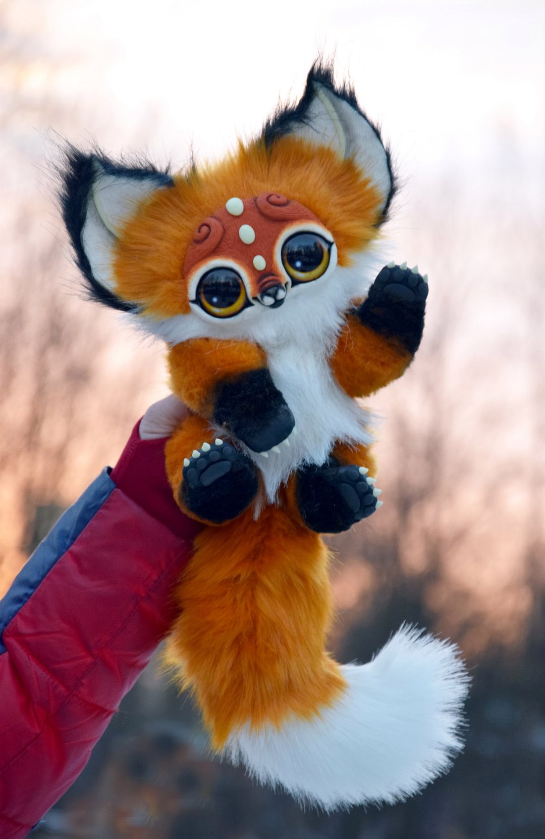 Fox Cub