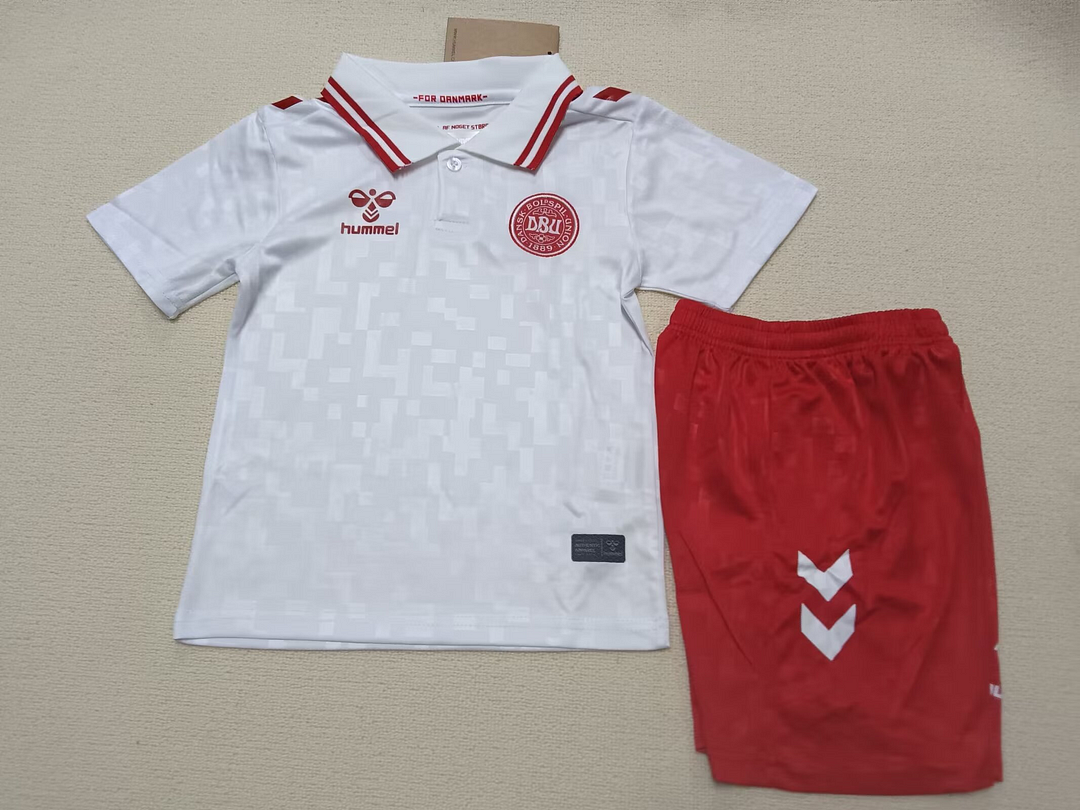 2024 Denmark Away Kids Kit Soccer Jersey Thai Quality