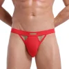 Men's underwear thong