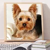 Dog-Full Square Diamond Painting