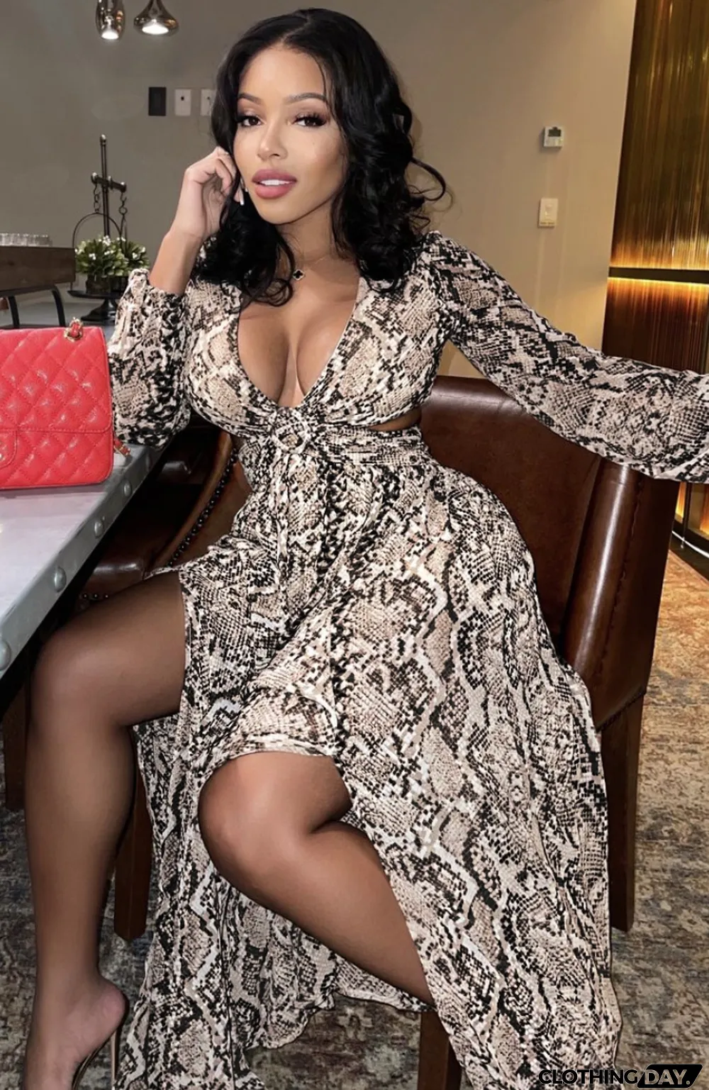 Autumn Formal Snake Skin V-Neck Long Sleeve Maxi Dress