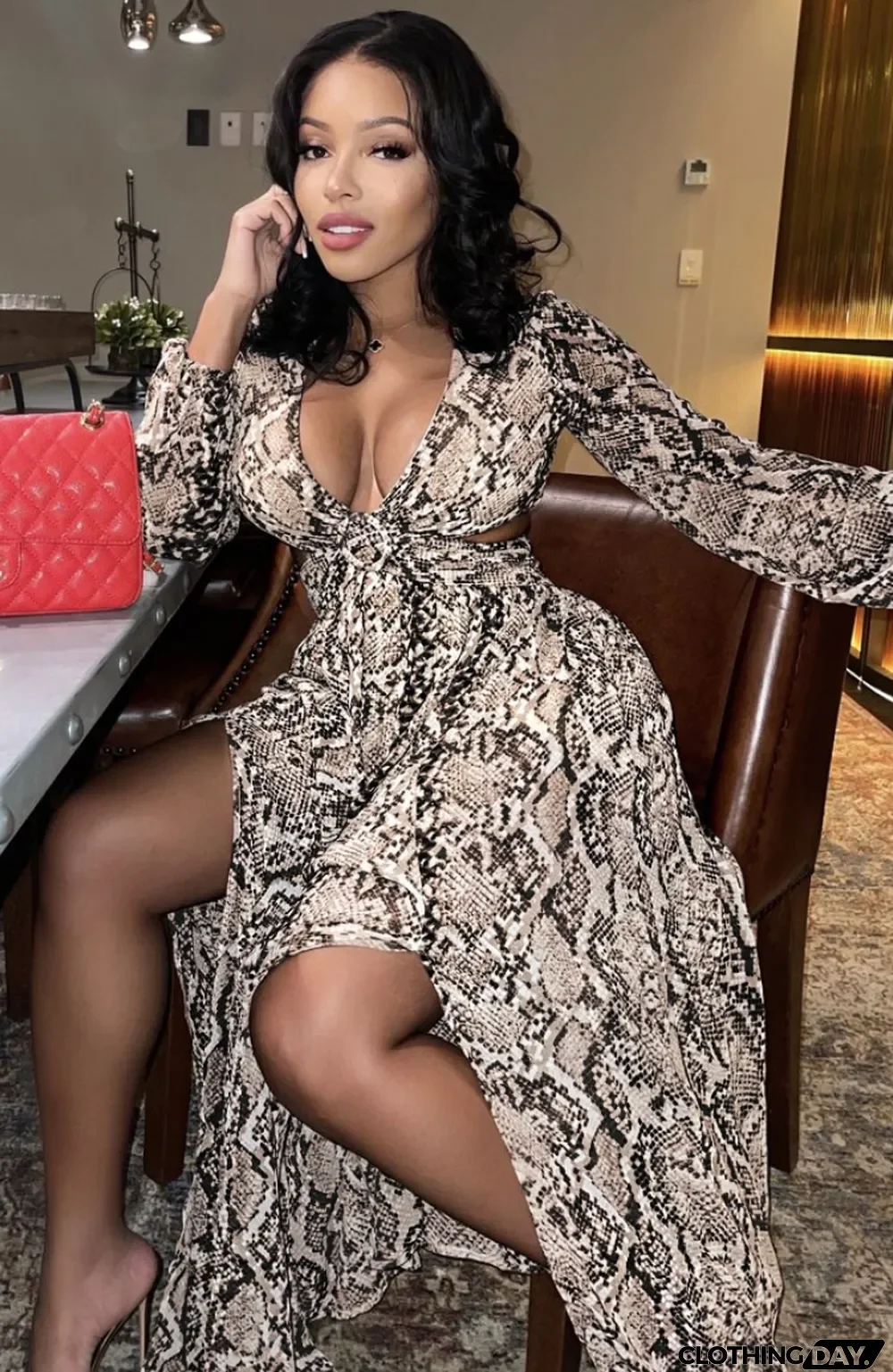 Autumn Formal Snake Skin V-Neck Long Sleeve Maxi Dress