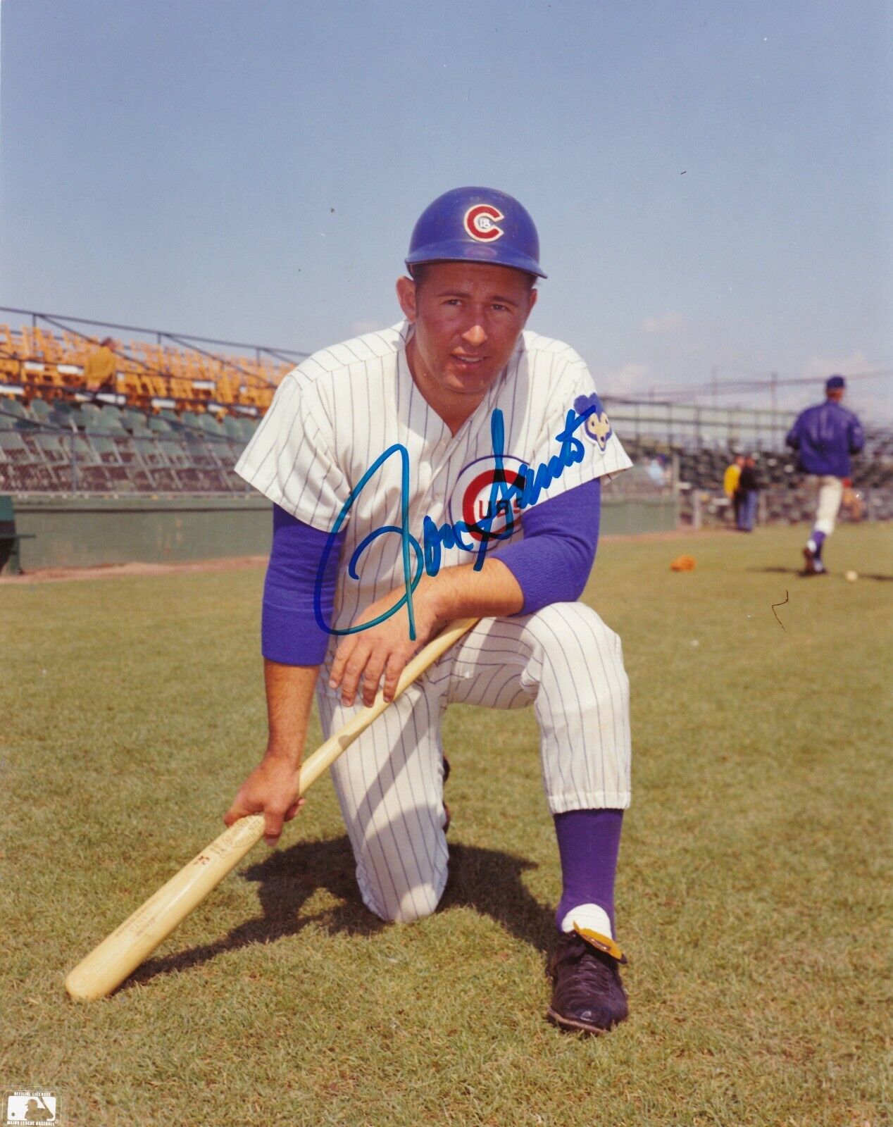 RON SANTO CHICAGO CUBS ACTION SIGNED 8x10