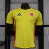 2024 Player Version Colombia Soccer Jersey Home