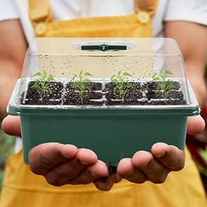seed starter tray