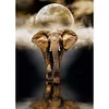 Elephant | Full Round/square Diamond Painting Kits | 50x70cm