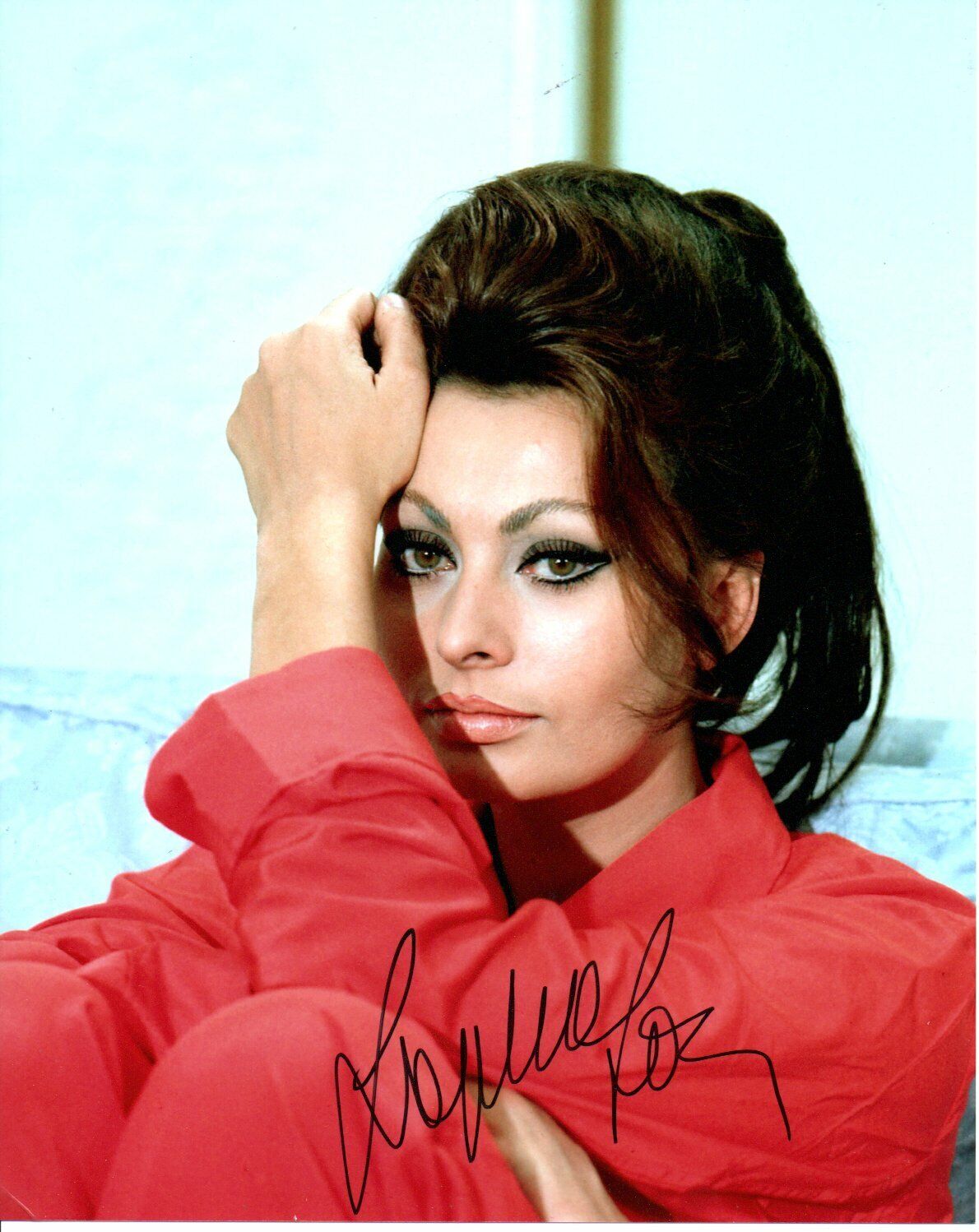 Sophia Loren Signed autograph vintage 8 X10 Photo Poster painting Stunning