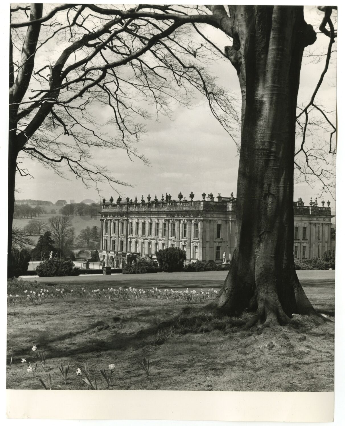 Chatsworth House - Vintage Publication Photo Poster paintinggraph - England