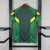 24/25 Celtic Special Edition Soccer Jersey
