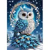 (US Local)Owl-Special Shaped Diamond Painting Kit