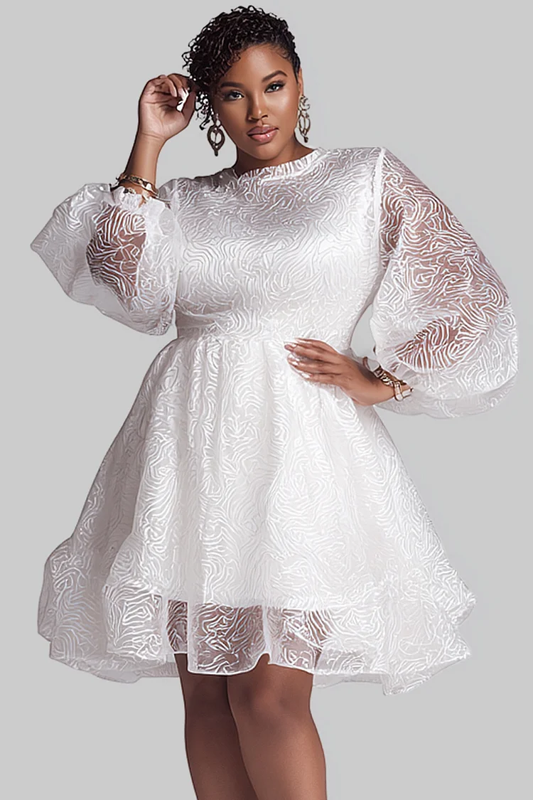 Lantern Sleeve Bridesmaid Dresses Size Plus Size Chiffon Long