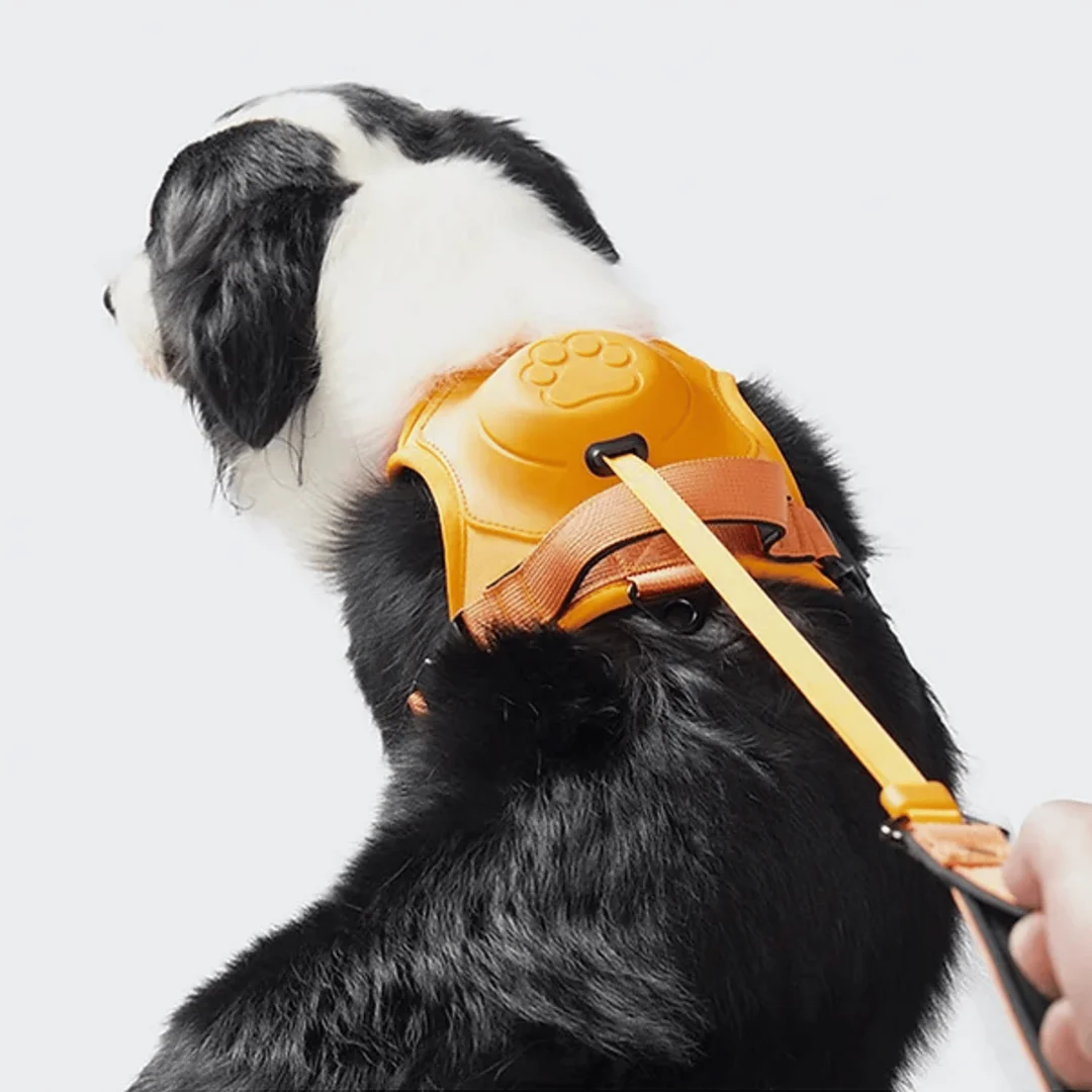 SmartPaw&trade;️ Harness + Leash - 2 in 1