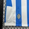 2024/2025 RCD Espanyol Home Football Shirt 1:1 Thai Quality