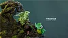 Grass Type Family Series Tyranitar Family - Pokemon Resin Statue - Gene Studios