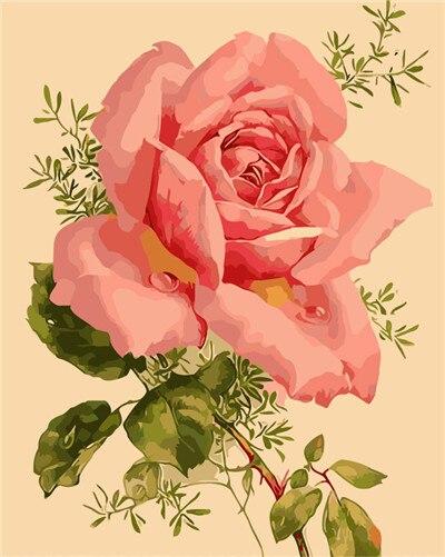 

Gorgeous Pink Flower – Paint By Numbers - 40*50CM, 501 Original
