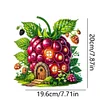 (US Local)Double Sided Special Shape Grapes House Diamond Painting LED Light Ornaments