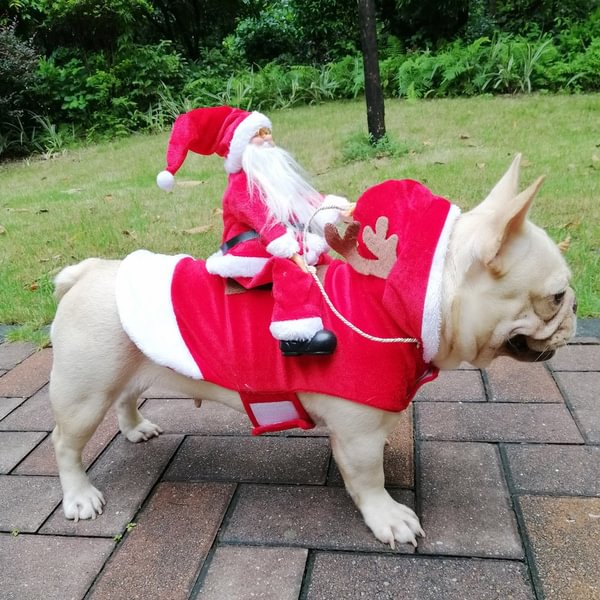 Puppy Dog Christmas Coat Jacket Pet Clothes Santa Claus Winter Xmas Party Costume - Shop Trendy Women's Fashion | TeeYours