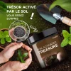 Conditionneur de Sol Organique