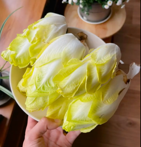 Golden Magnolia Seeds&mdash;The &ldquo;Prince&rdquo; of European Vegetables