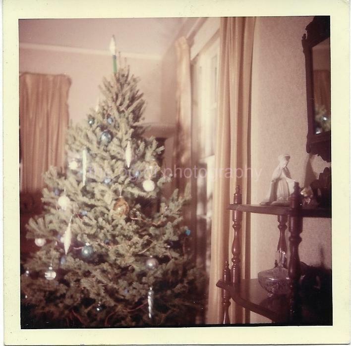 Christmas Tree FOUND Photo Poster painting ColorOriginal Snapshot VINTAGE 05 10 A