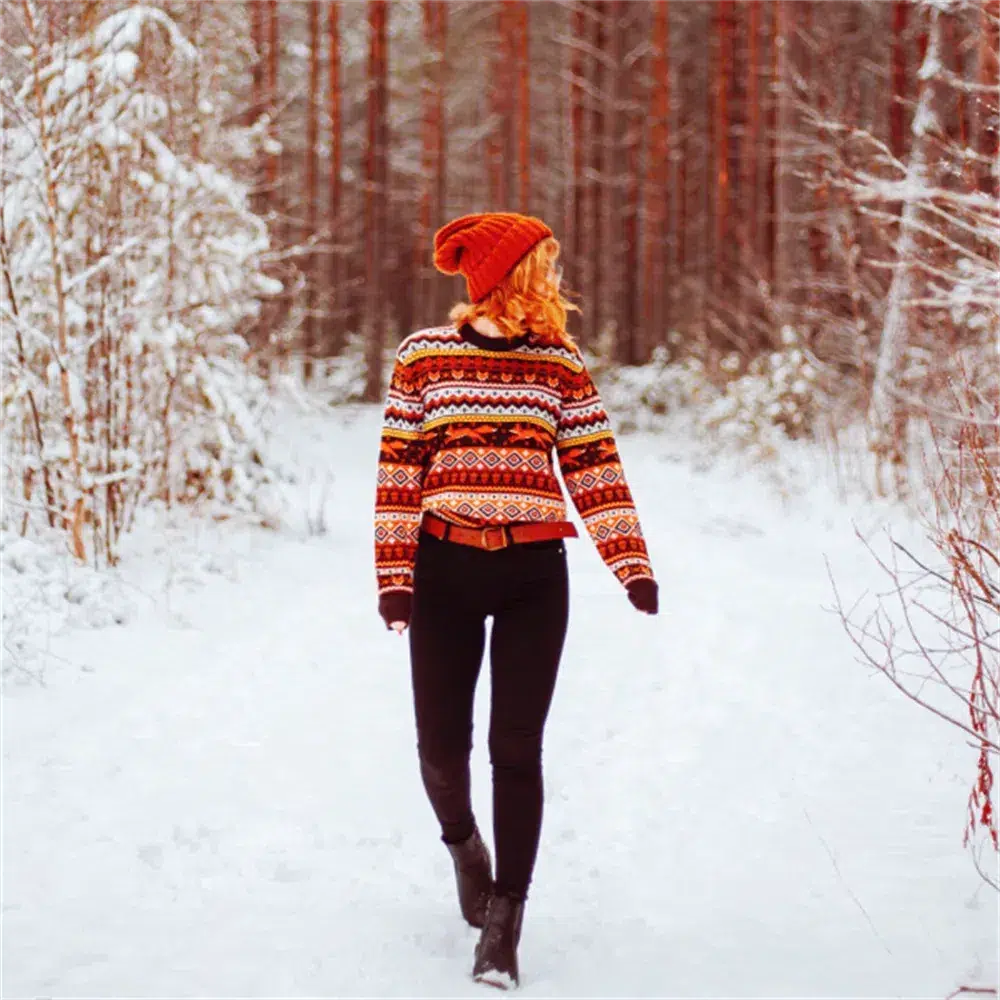 Brownm Fox Embroidered Christmas Sweater