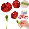 (Finished Product)Crochet Carnation Artificial Carnation Exquisite Aesthetic for Gift Home Office Decor