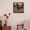 Cheval-Plein diamant rond peinture-30 * 30cm