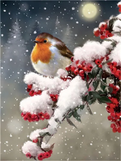 Diamond Painting - Full Round/Square Drill - Bird(30*40 - 50*60cm)