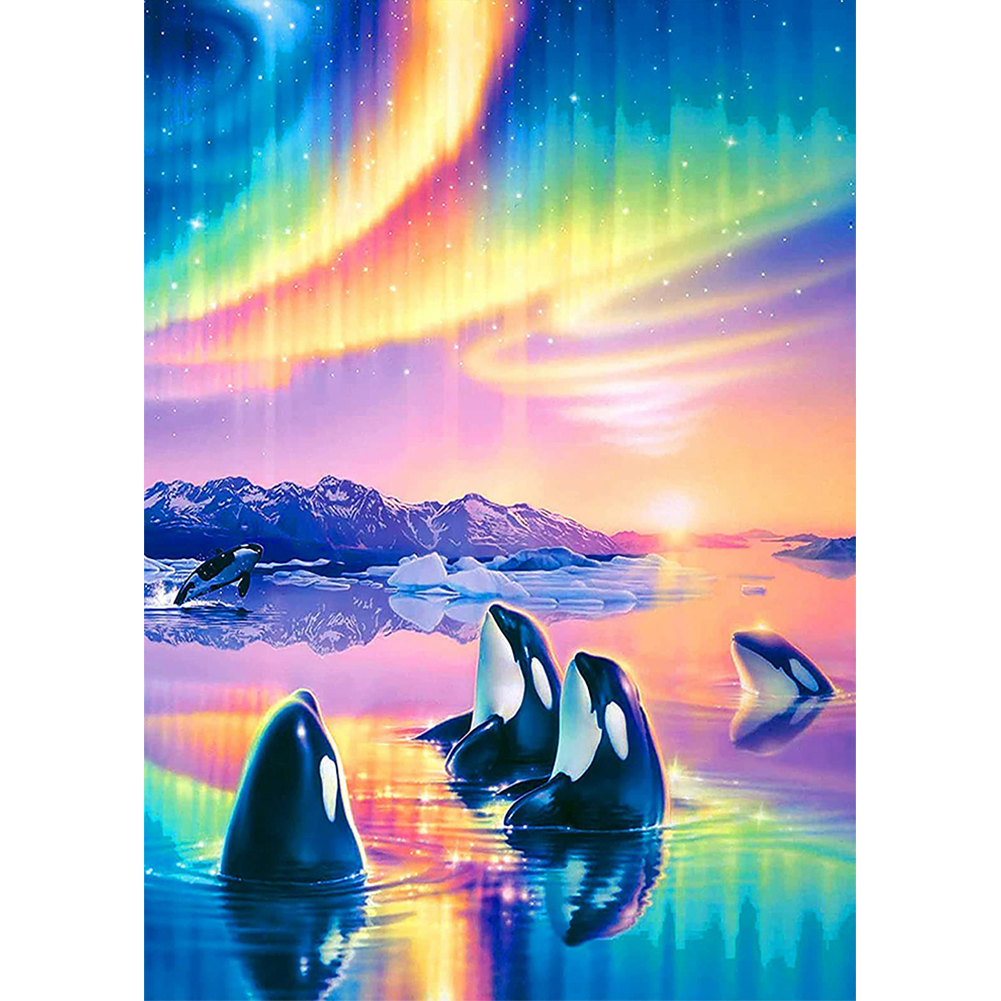 

30*40CM - Round Drill Diamond Painting - Dolphin In Sky, 501 Original