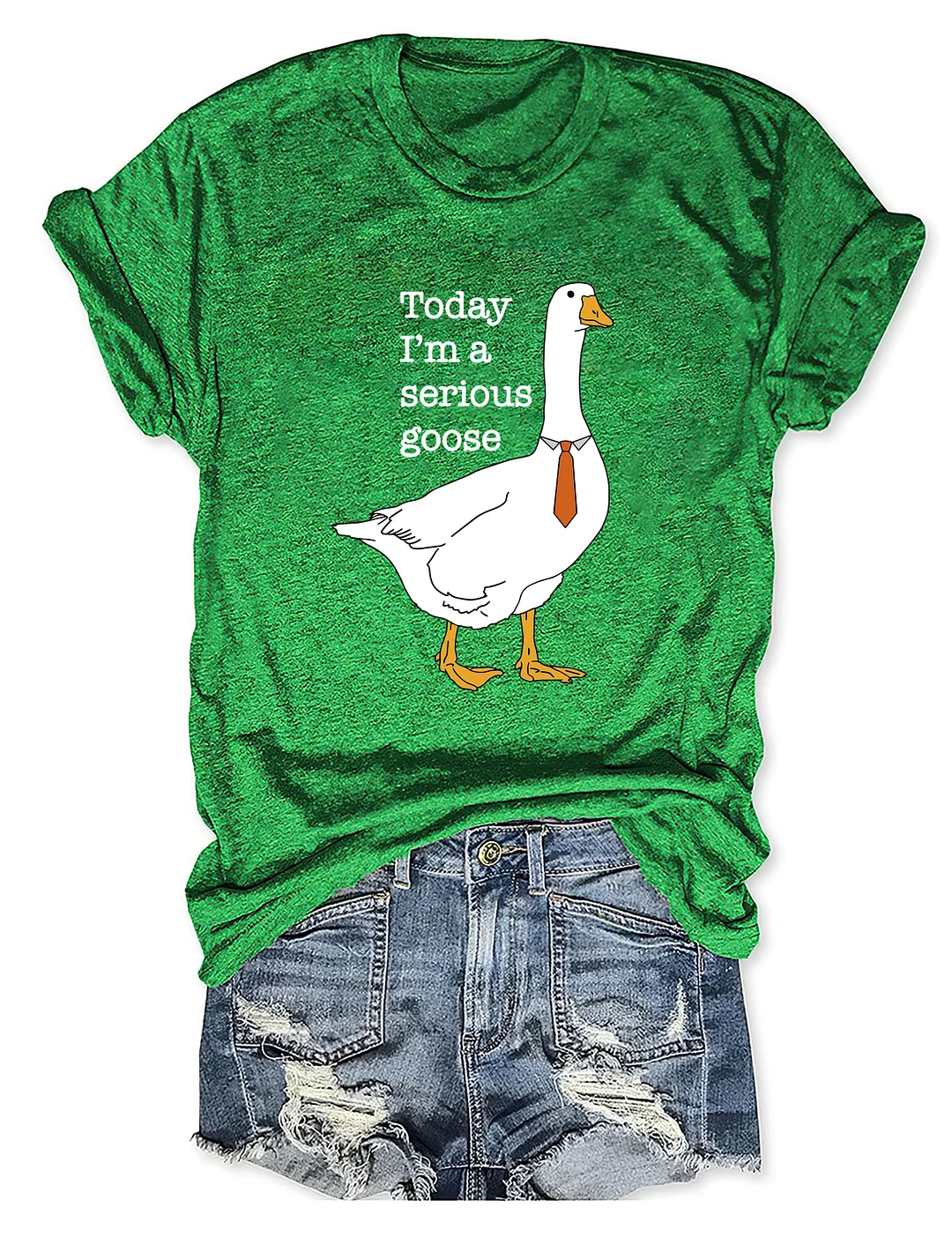 Today I'm A Serious Goose T-shirt