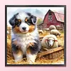 Sheepdog And Lamb-11CT Stamped Cross Stitch 40*40cm/15.75*15.75in