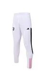 2023/2024 Juventus Half-Pull Training Suit White Football Jersey 1:1 Thai Quality