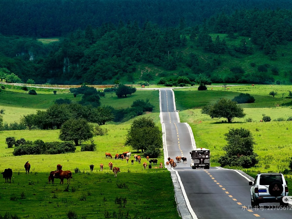 10-Day Chengdu, Chongqing & Jiuzhaigou Discovery Tour, Nature&City Tour