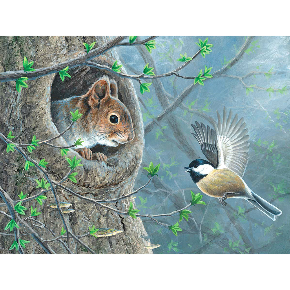

Squirrel and Bird - Round Drill Diamond Painting - 40*30CM, 501 Original