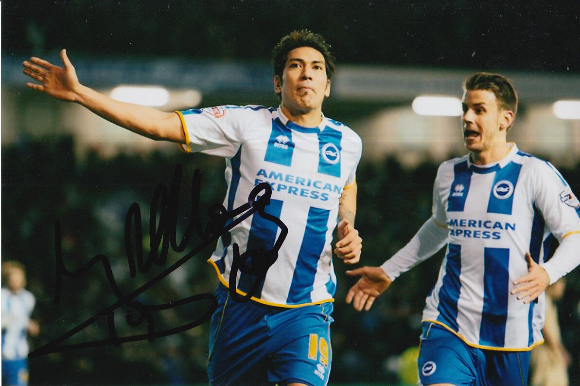 BRIGHTON HAND SIGNED LEONARDO ULLOA 6X4 Photo Poster painting 8.