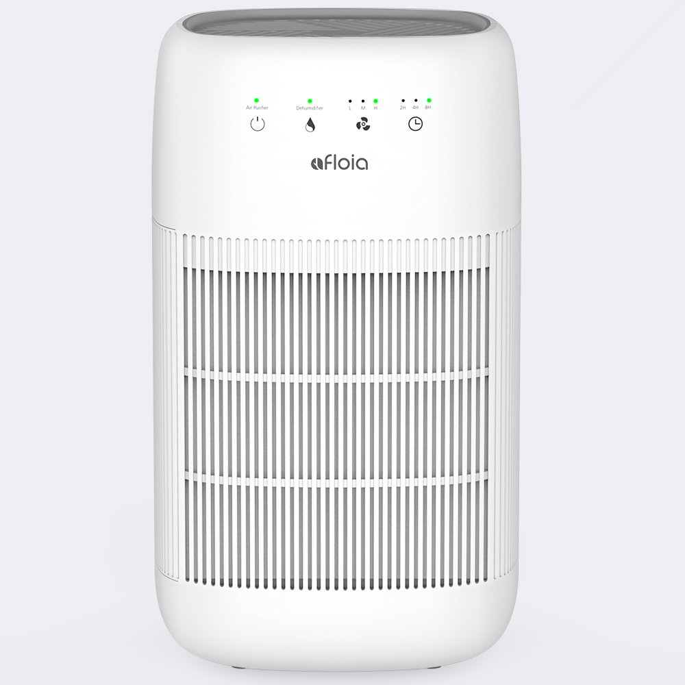 Air Purifier and Dehumidifier Air Purifier, Touch Control, Ultra Quiet Air  Purifier(200 sq.ft.), Dehumidifier(160 sq.ft.)-Q10