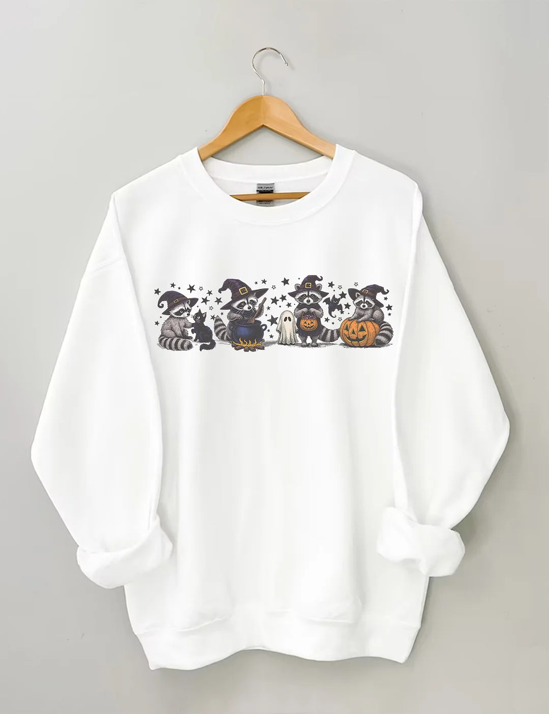 Raccoon Halloween Sweatshirt