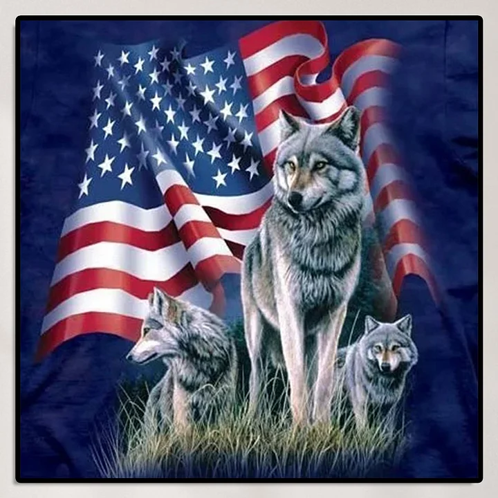 Wolves & Flag Framed 5D Diamond outlet Painting