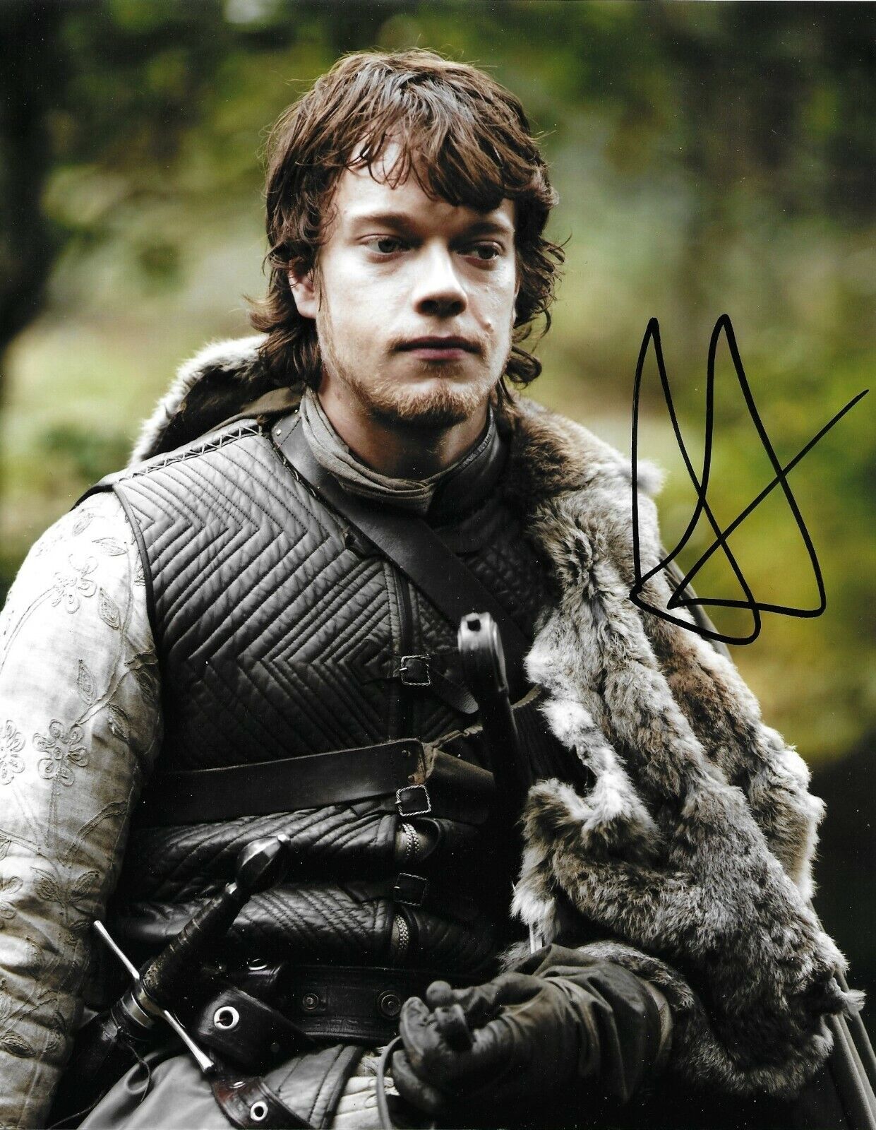 Alfie Allen Signed Game Of Thrones 10x8 Photo Poster painting AFTAL