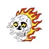 Fiery Spark Skull
