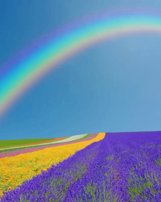 

Rainbow In Lavender Field – Paint By Numbers - 40*50CM, 501 Original