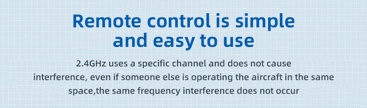 Tegooe Large Scale Passenger Jet RC Airplane - 24G Fixed Wing Foam Glider RTF Outdoor Toy