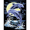 Bead Embroidery - Partial Printed 9CT Dolphin(28x20 CM)