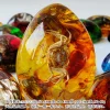 Insect Amber Pendant Natural Butterfly Specimen Insect Amber Necklace Children's Hanging Accessories