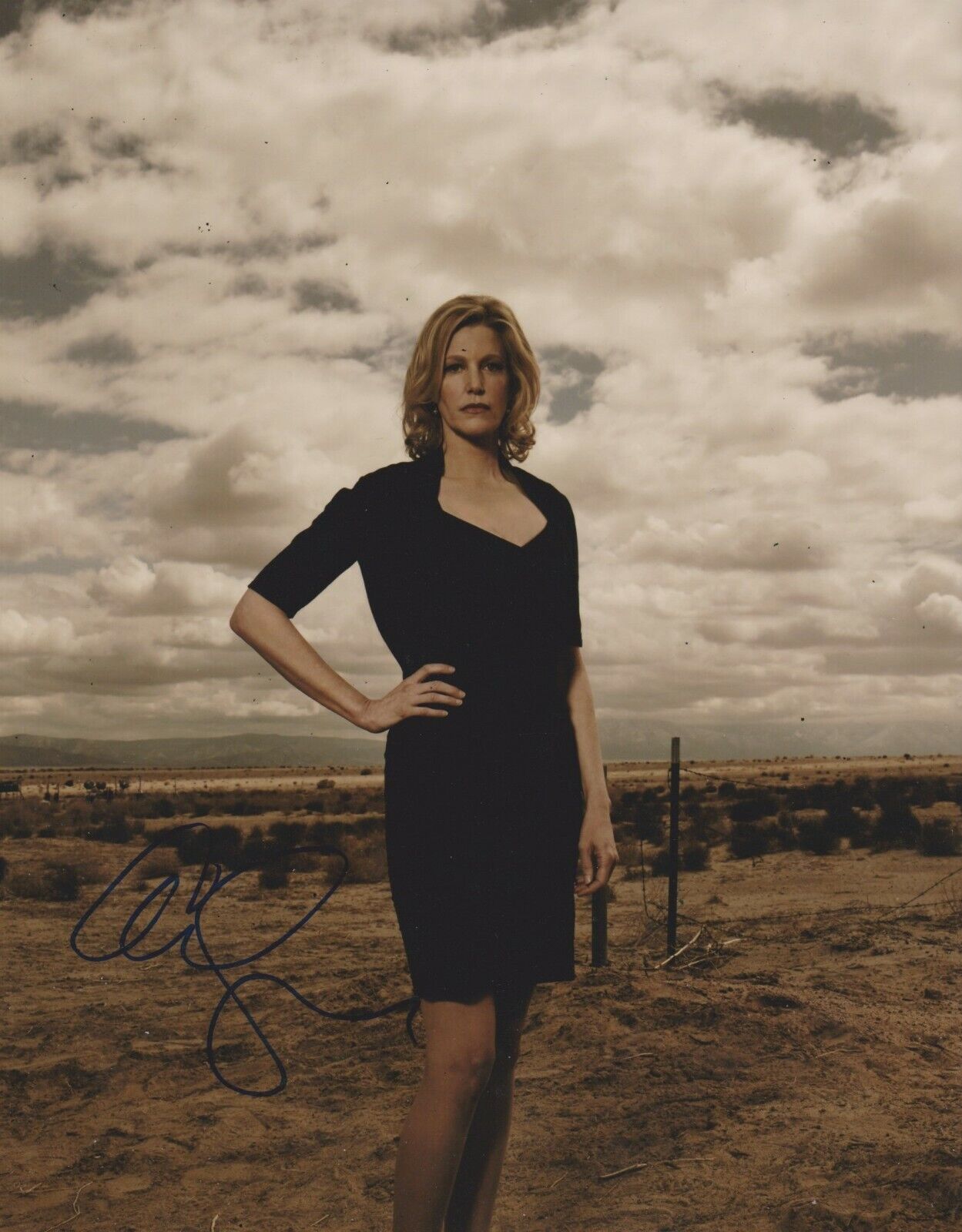 Anna Gunn Signed Breaking Bad 10x8 Photo Poster painting AFTAL