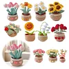 DIY Flower Potted Crochet Kit with Video Tutorial Cute Plants Hand-Knitted Tool