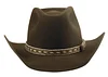 Sheriff Walter Longmire Hat