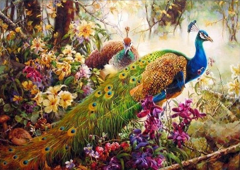 

Peafowls – Paint By Numbers - 40*50CM, 501 Original